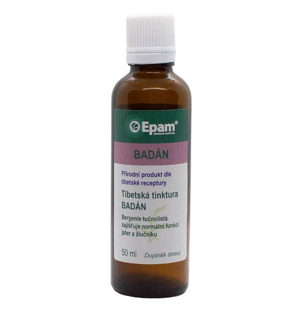 Dickblatt-Bergenie - Tinktur Epam 50ml